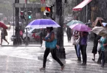 São Paulo deve ter mais um dia de calor e temporais nesta quinta-feira (15)
