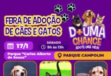 Feira de adoção de cães e gatos do Canil Municipal ocorrerá no Parque Campolim neste sábado (17)