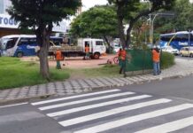 Saiba como funciona o serviço de roçagem na cidade em áreas públicas e particulares