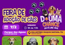 Feira de adoção de cães do Canil Municipal ocorrerá no Parque das Águas neste sábado (07)