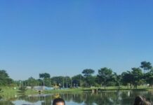 Coaves Kids registra 28 espécies de aves em passarinhada no Parque das Águas