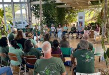 PANCs é tema de encontro do Clube de Jardinagem do Jardim Botânico de Sorocaba
