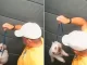 Guarda aposentado agride cãozinho dentro do elevador em SP; vídeo