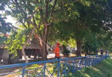 Prefeitura contabiliza 196 ações de zeladoria e limpeza em áreas públicas de Sorocaba no feriadão de Páscoa