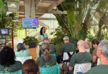 Clube de Jardinagem do Botânico de Sorocaba estuda revitalização dos canteiros da Praça 9 de Julho