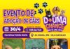 Evento de adoção de cães do Canil Municipal de Sorocaba estará no Carrefour Sônia Maria nesta quinta-feira (30)