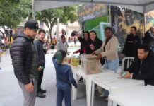 Troca solidária de figurinhas arrecada cerca de uma tonelada de alimentos