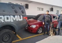 GCM recolhe veículos e apreende drogas com apoio da equipe do Canil no ‘Laranjeiras’