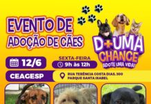 CEAGESP recebe evento de adoção de cães do Canil Municipal de Sorocaba nesta sexta (12)