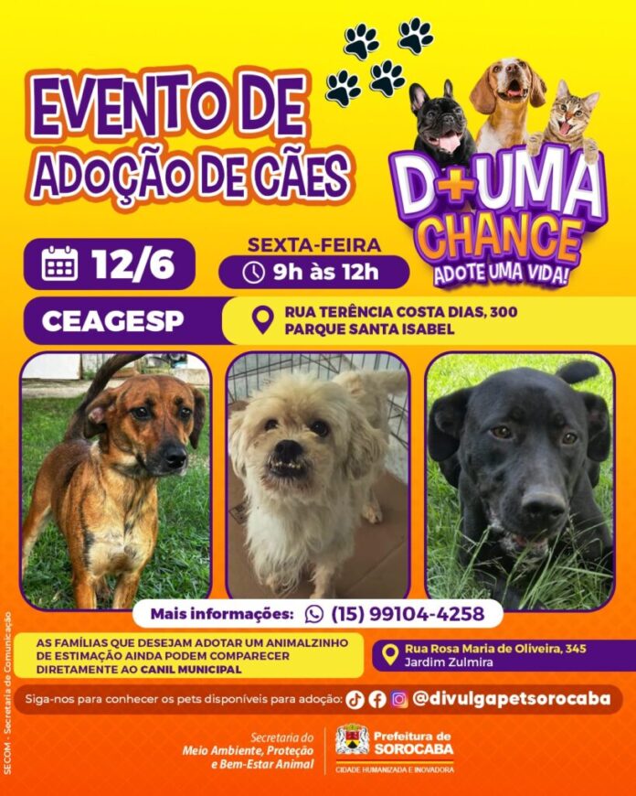 CEAGESP recebe evento de adoção de cães do Canil Municipal de Sorocaba nesta sexta (12)