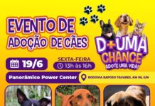 Panorâmico Power Center recebe evento de adoção de cães do Canil Municipal de Sorocaba nesta sexta-feira (19)