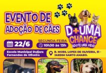 Escola Municipal Duljara Fernandes de Oliveira receberá evento de adoção de cães do Canil Municipal de Sorocaba nesta segunda (22)