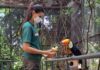 Zoológico de Sorocaba tem programação especial de férias neste mês de julho