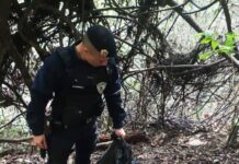 GCM apreende 4,3 quilos de pasta base de cocaína e prende homem por tráfico