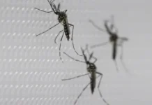 SUS suspende uso de vacina da dengue do Butantan após reações adversas