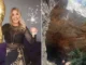 Mulher morre após escorregar e cair em gruta no Rio enquanto se preparava para fazer rapel