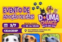 CEAGESP recebe evento de adoção de cães do Canil Municipal de Sorocaba nesta sexta (3)