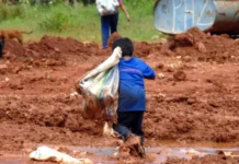 Somente três estados têm plano vigente contra o trabalho infantil