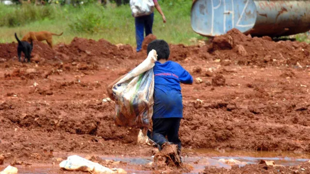 Somente três estados têm plano vigente contra o trabalho infantil
