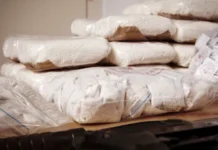 PF desarticula rede que exportava cocaína em sacas de café e cimento