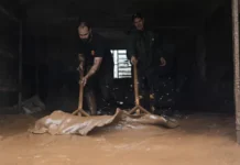 Chuva forte impõe emergência e deixa rastro de destruição em cidade do RS