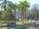 Inscrições para os tradicionais cursos de férias gratuitos nos parques de Sorocaba ocorrem neste domingo (5)