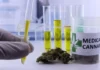 Autorizações para importação de cannabis aumentam 29% em 2026