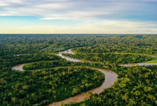 Alertas de desmatamento na amazônia caem ao menor patamar da série histórica