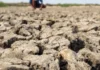 Com El Niño, Ibama autoriza redução de vazão de água em Belo Monte a nível mínimo
