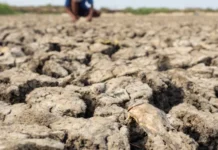 Com El Niño, Ibama autoriza redução de vazão de água em Belo Monte a nível mínimo