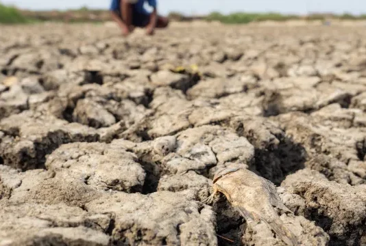 Com El Niño, Ibama autoriza redução de vazão de água em Belo Monte a nível mínimo