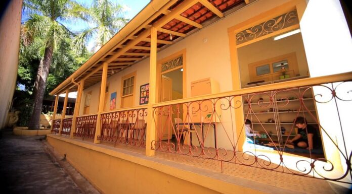 Oficina de Mini Jardins A Biblioteca virou floresta é atração na Biblioteca Infantil de Sorocaba na próxima quarta-feira (23)