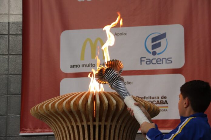 imagem-14