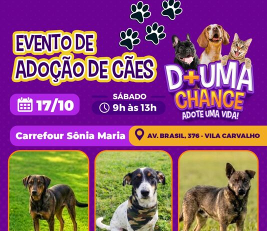 Carrefour Sônia Maria recebe evento de adoção de cães do Canil Municipal neste sábado (17)