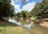 SaaeSorocaba conclui limpeza de lago no Parque da Vila Formosa