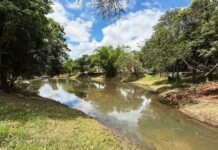 SaaeSorocaba conclui limpeza de lago no Parque da Vila Formosa
