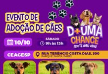 CEAGESP recebe evento de adoção de cães do Canil Municipal de Sorocaba neste sábado (10)