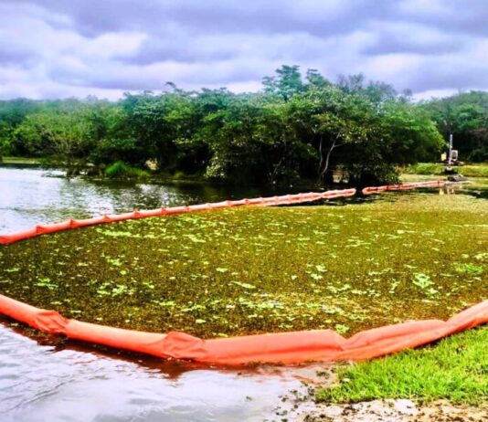 SaaeSorocaba finaliza limpeza e remoção de plantas aquáticas em lago do Parque Vitória Régia