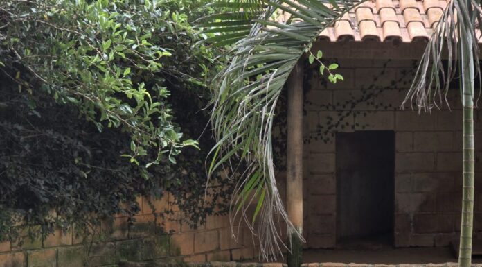 Dia do Lobo-Guará reúne mais de 1800 pessoas em programação educativa no Zoo de Sorocaba